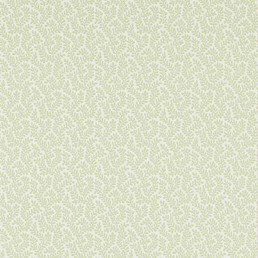 Rushmere Willow Green Wallpaper