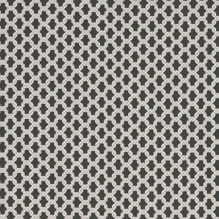Asscher Castor Grey Fabric