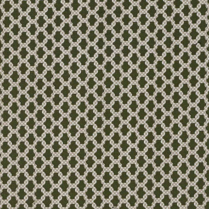 Asscher Perfect Pear Fabric