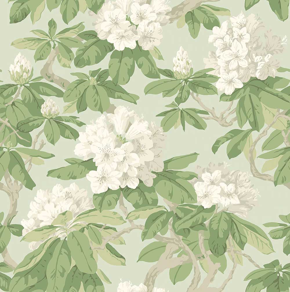 Bourlie Wallpaper by Cole & Son - 99/4022 | Modern 2 Interiors