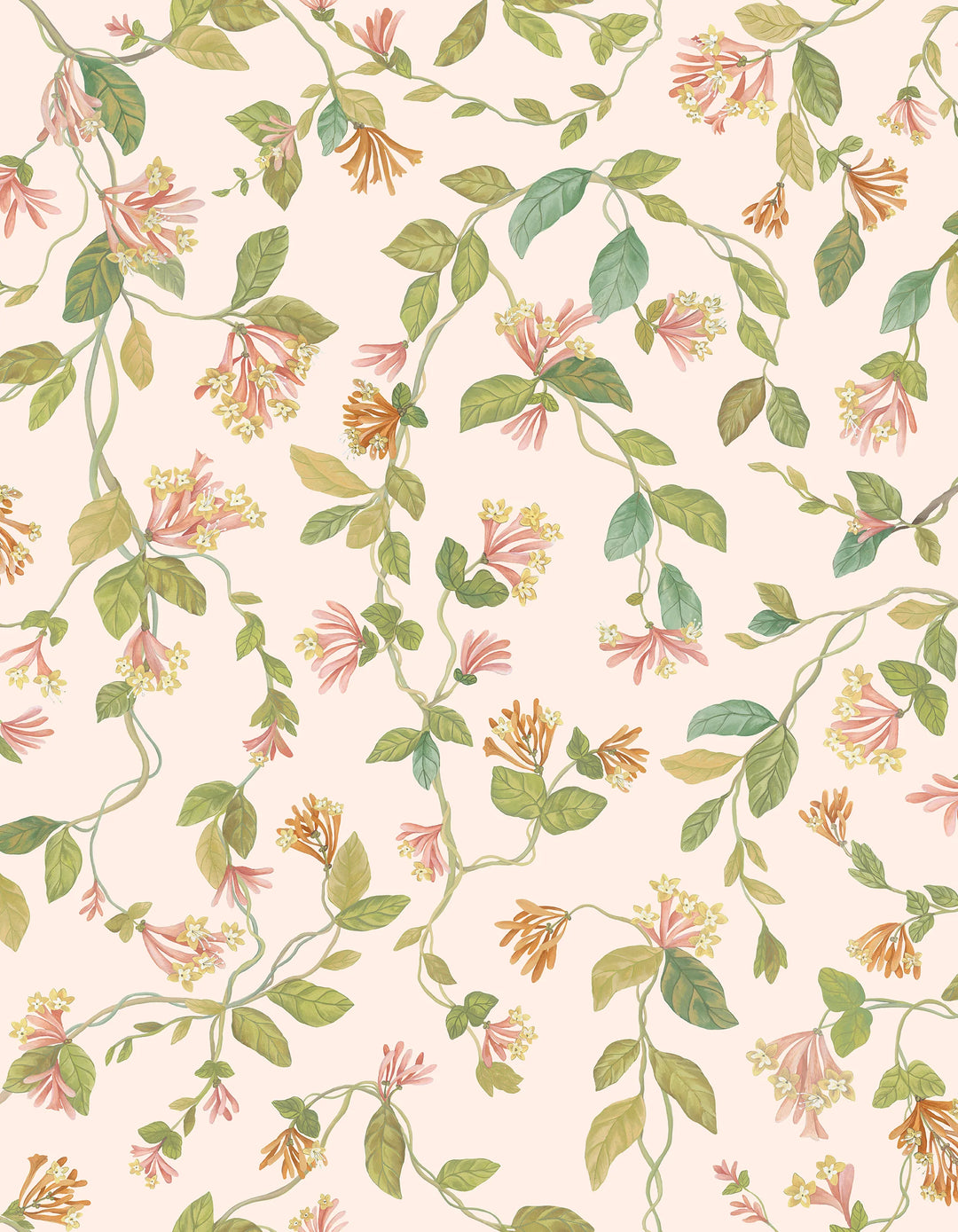 Flora Tangerine & Olive on Blush Wallpaper