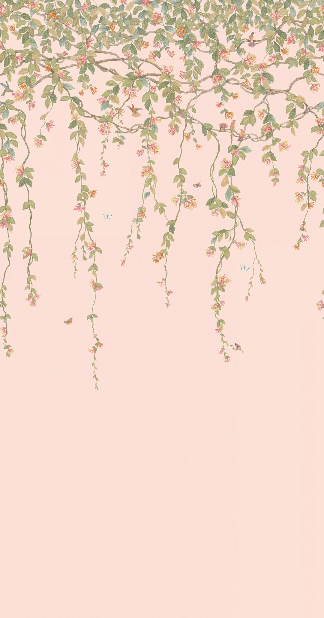 Hummingbirds Flora Tangerine & Olive on Blush Wallpaper