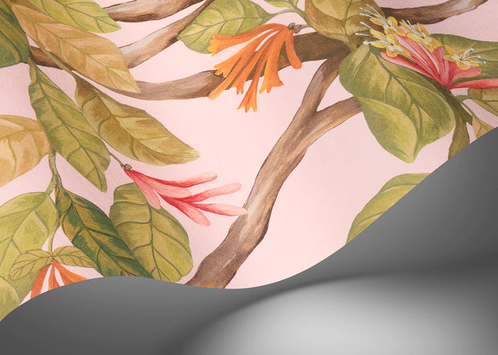 Hummingbirds Flora Tangerine & Olive on Blush Wallpaper