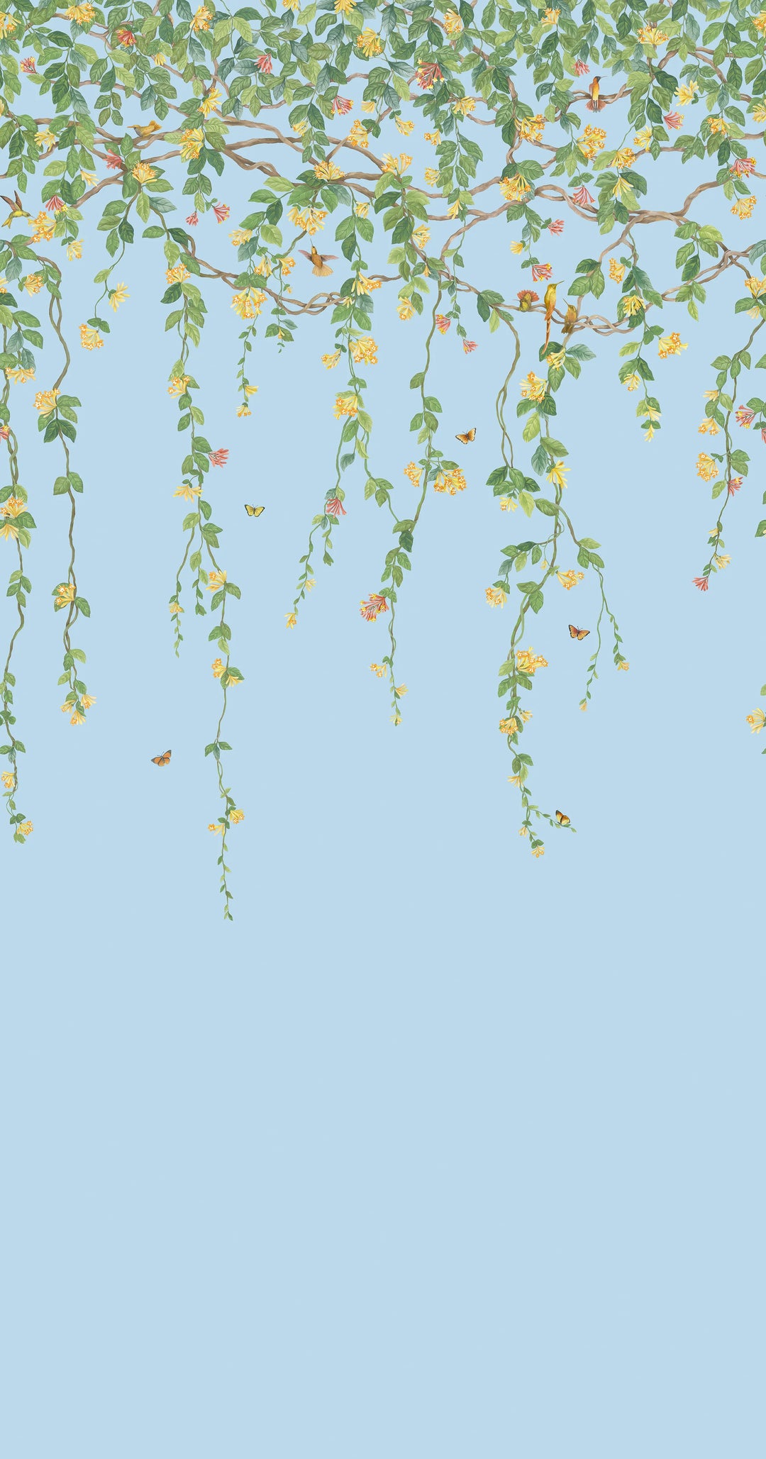 Hummingbirds Flora Buttercup Yellow on Cornflower Blue Wallpaper