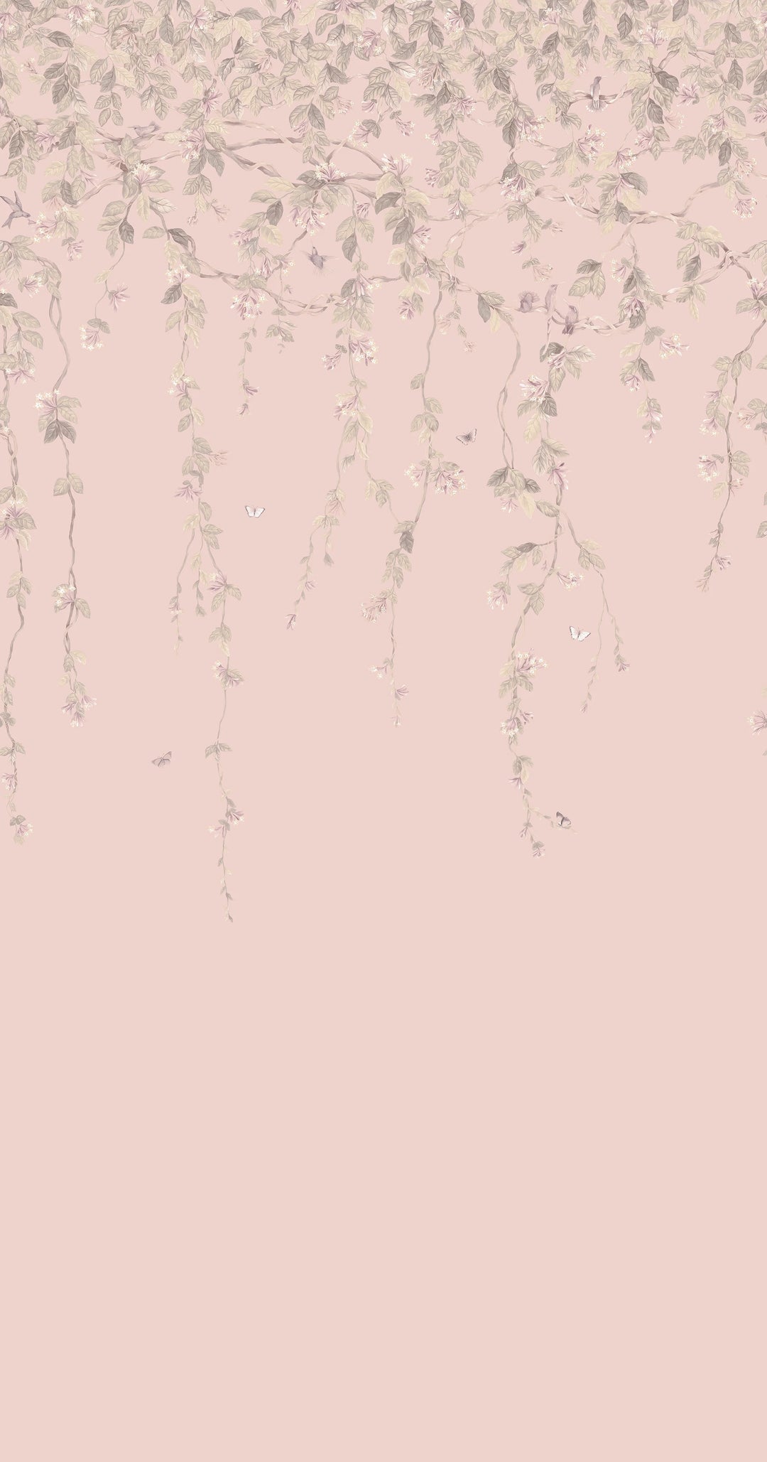 Hummingbirds Flora Stone on Rose Quartz Wallpaper