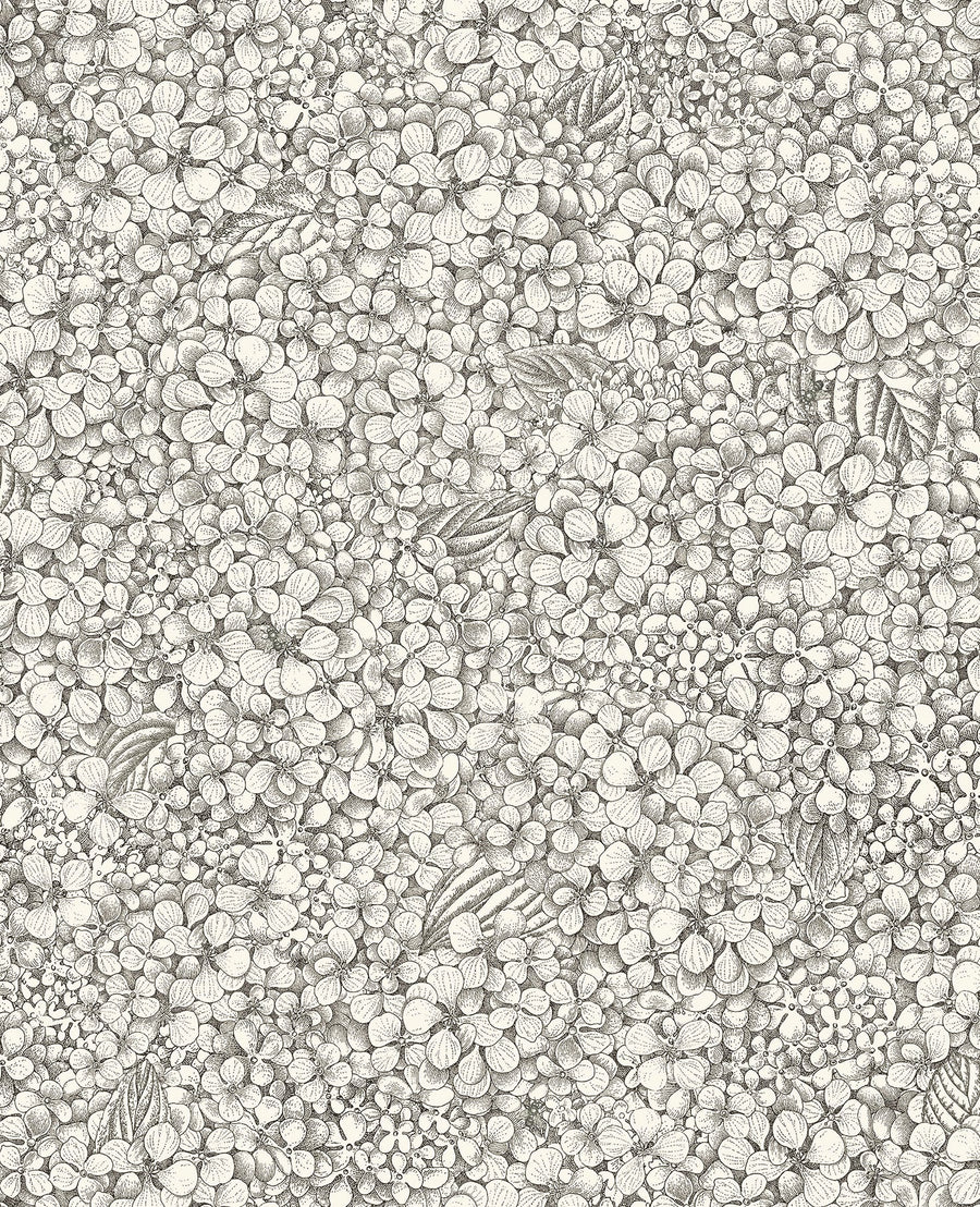 Cole & Son Ortensia Wallpaper | Black & White | 123/9043