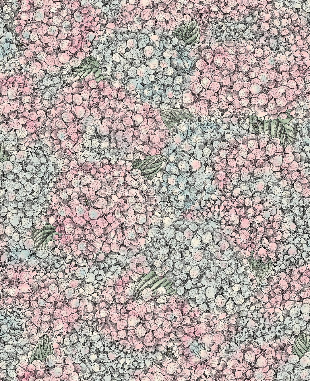 Cole & Son Ortensia Wallpaper | Pink & Blue | 123/9045