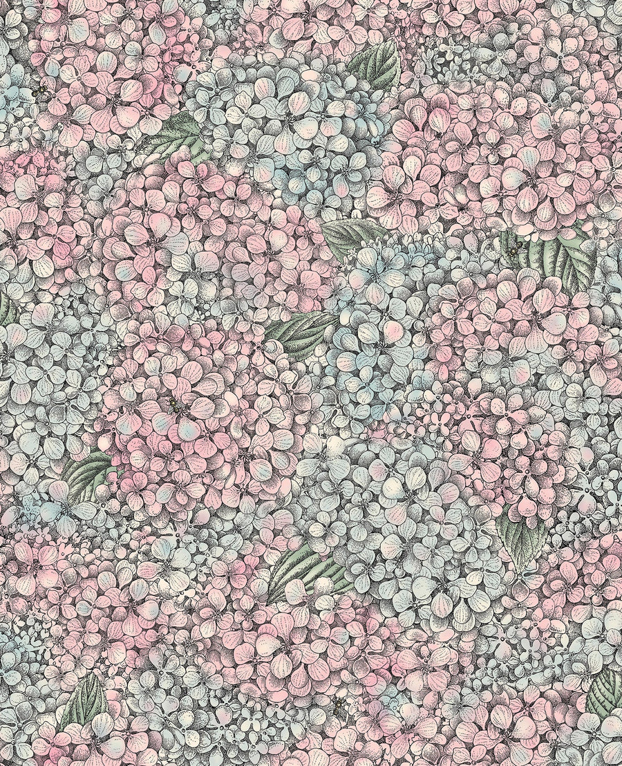 Cole & Son Ortensia Wallpaper | Pink & Blue | 123/9045