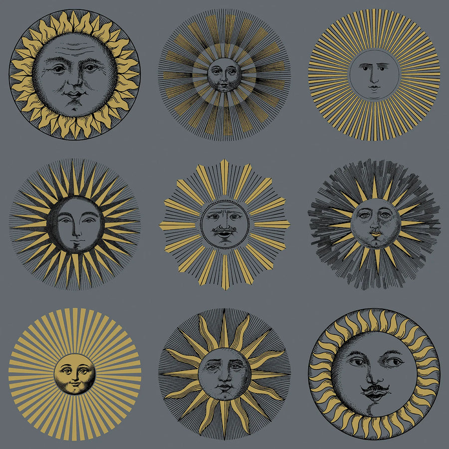 Cole & Son Soli Wallpaper | Midnight & Soft Gold | 123/1004