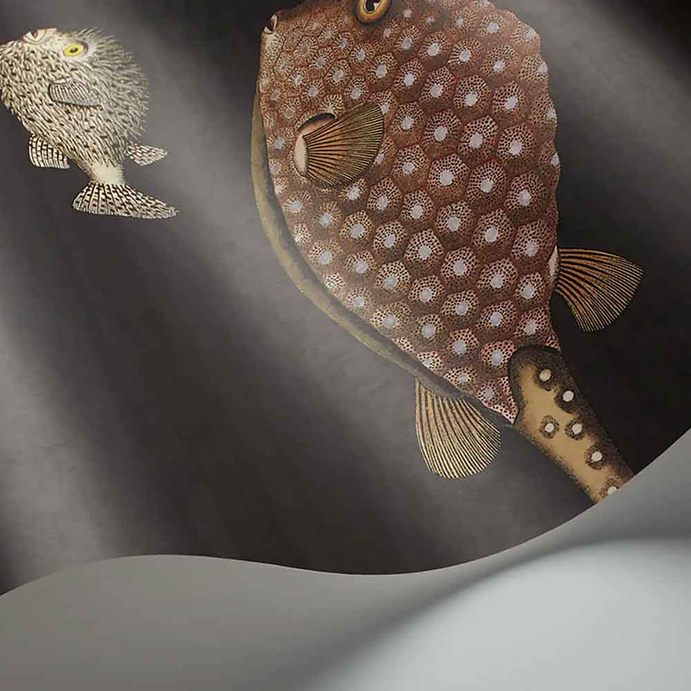 Cole & Son Acquario Wallpaper | 97/10048 | displays an unrolled wallpaper highlighting the marine life pattern with a striking charcoal background