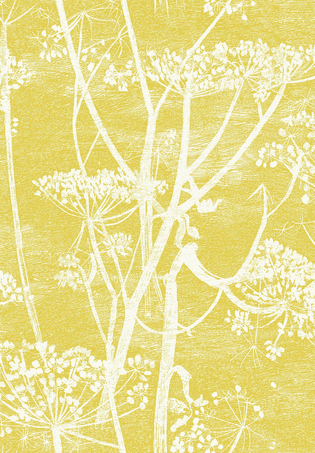 Cow Parsley White & Chartreuse Wallpaper