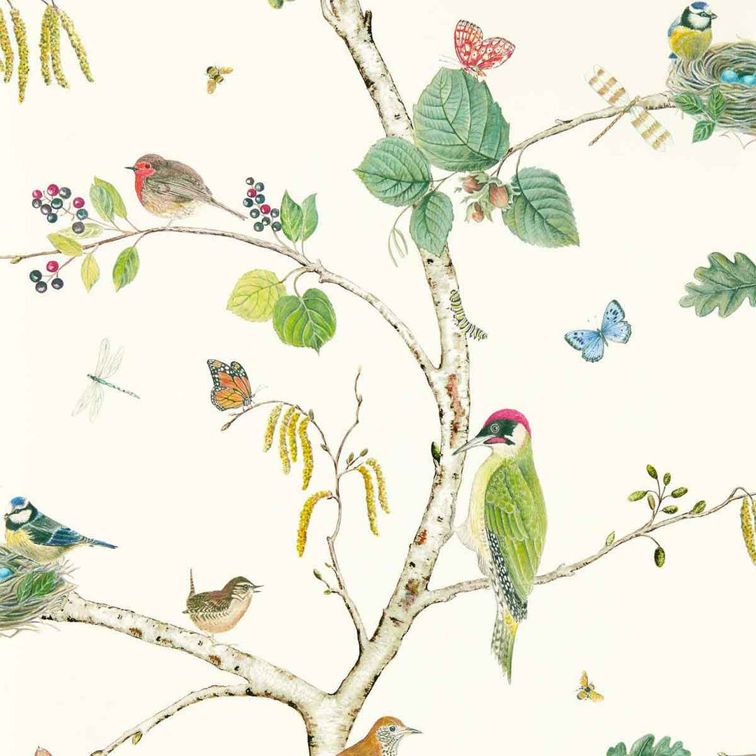 Woodland Chorus Botanical & multi Wallpaper