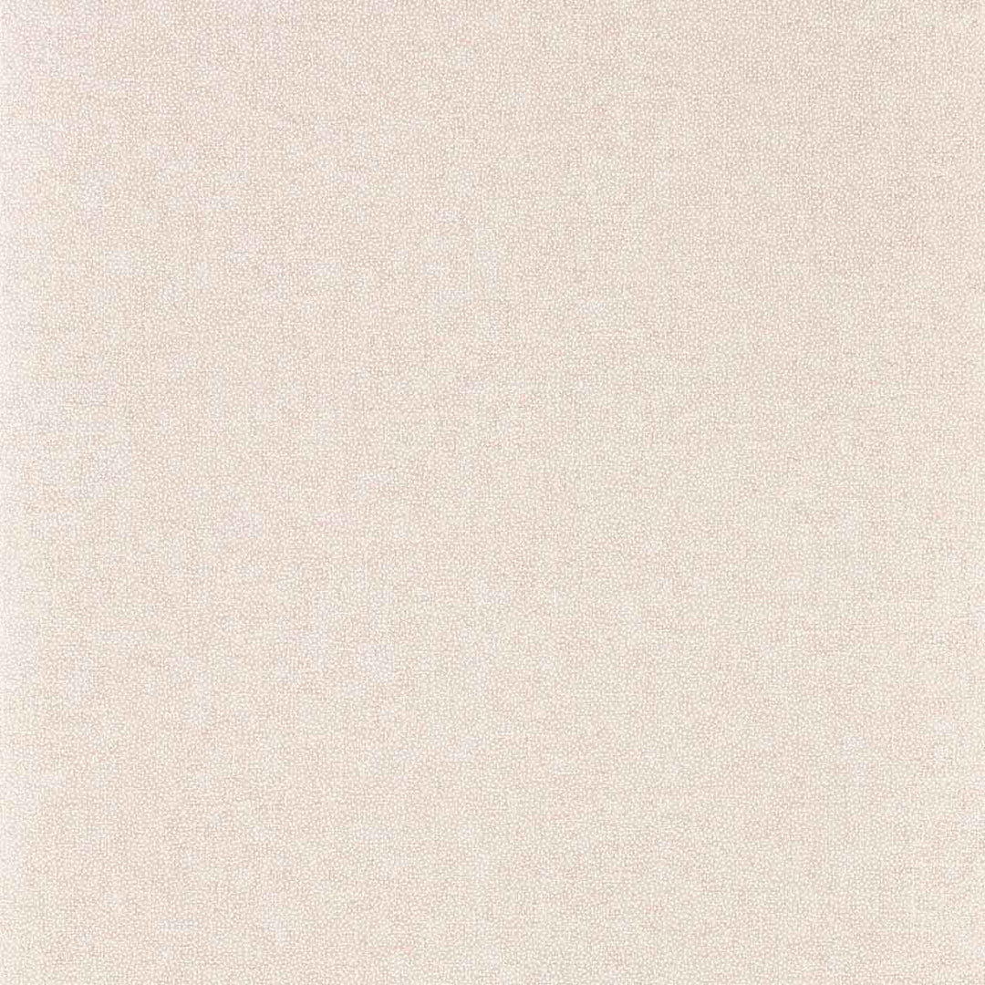 Sessile Plain Wild Rose Wallpaper