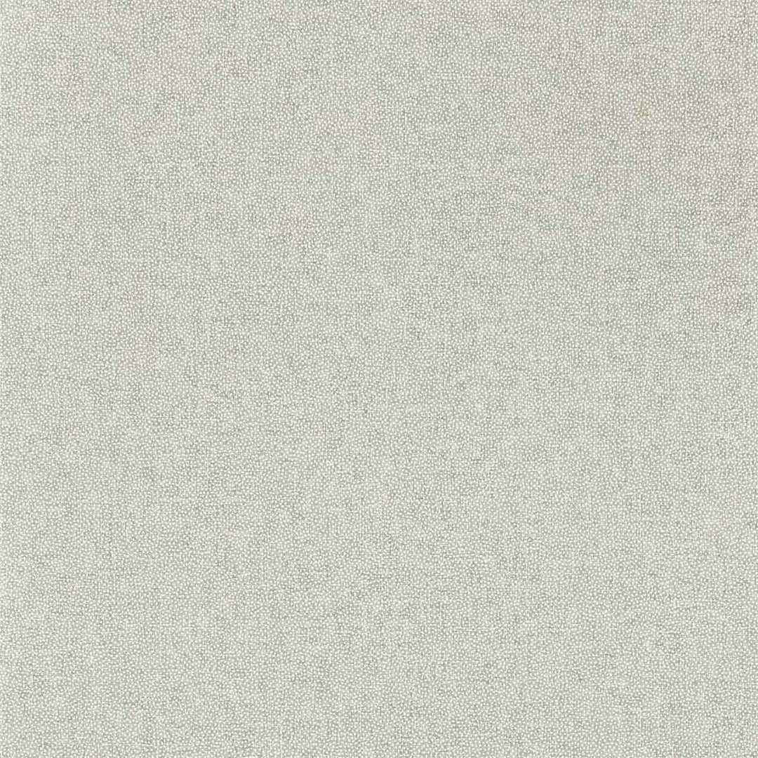 Sessile Plain Driftwood Wallpaper