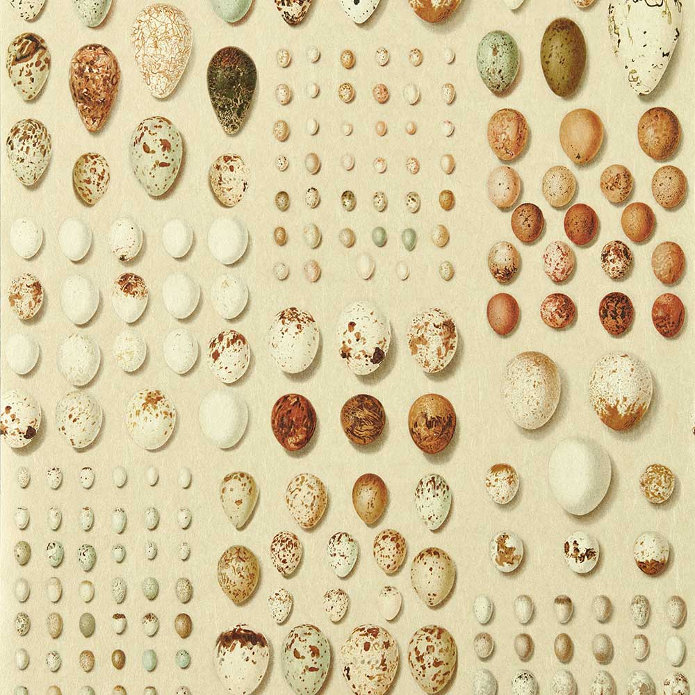Sanderson Oology Portal Wallpaper | Silkie | 217326