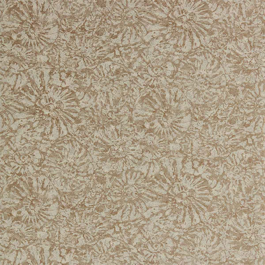 Ammonite Sandstone Wallpaper by Anthology - 112561 | Modern 2 Interiors