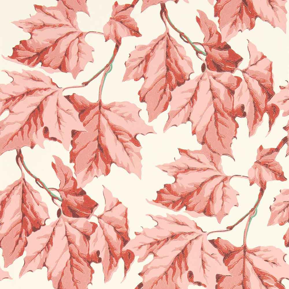 Dappled Leaf Rose Quartz Wallpaper