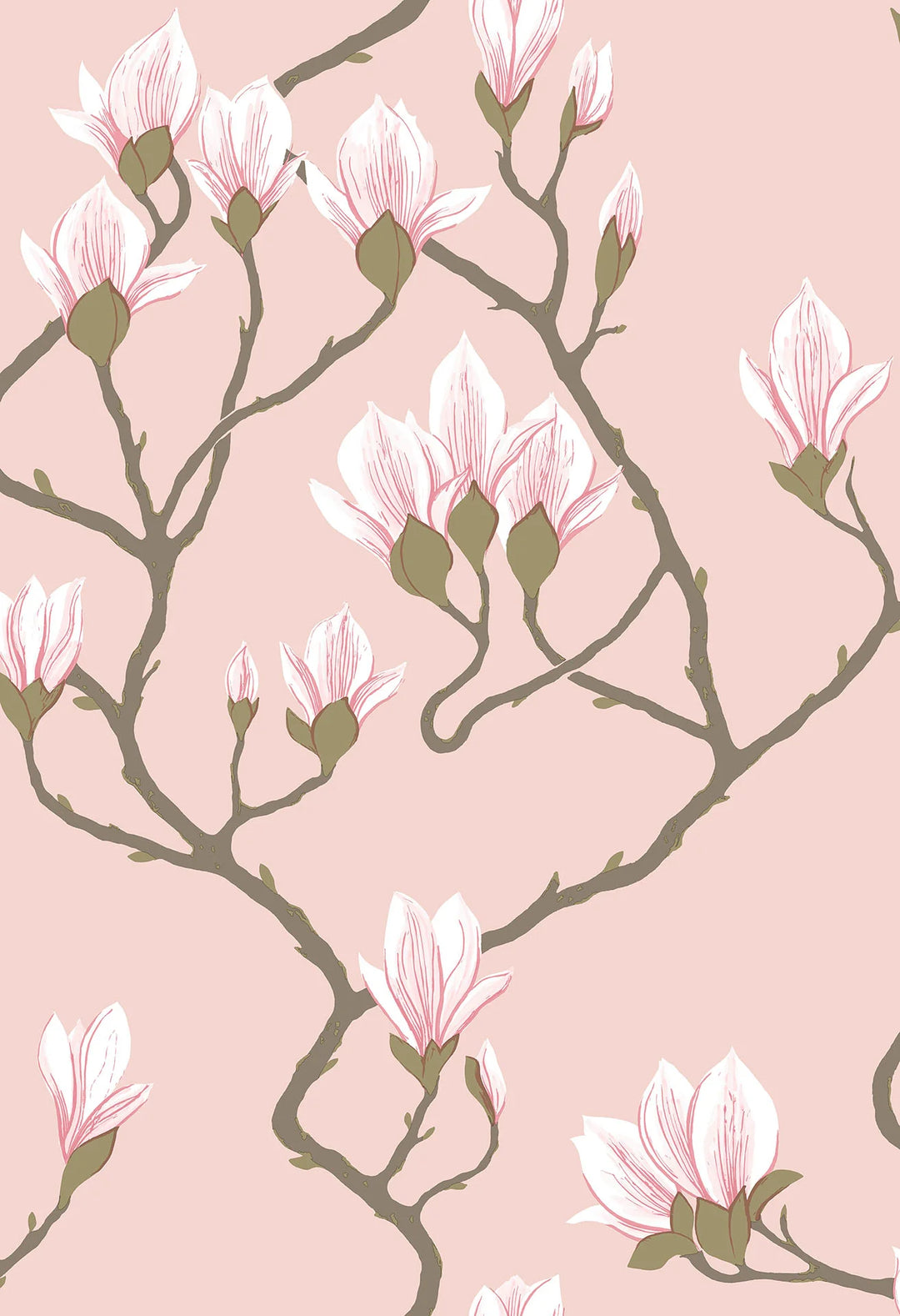 Magnolia Wallpaper by Cole & Son - 72/3009 | Modern 2 Interiors