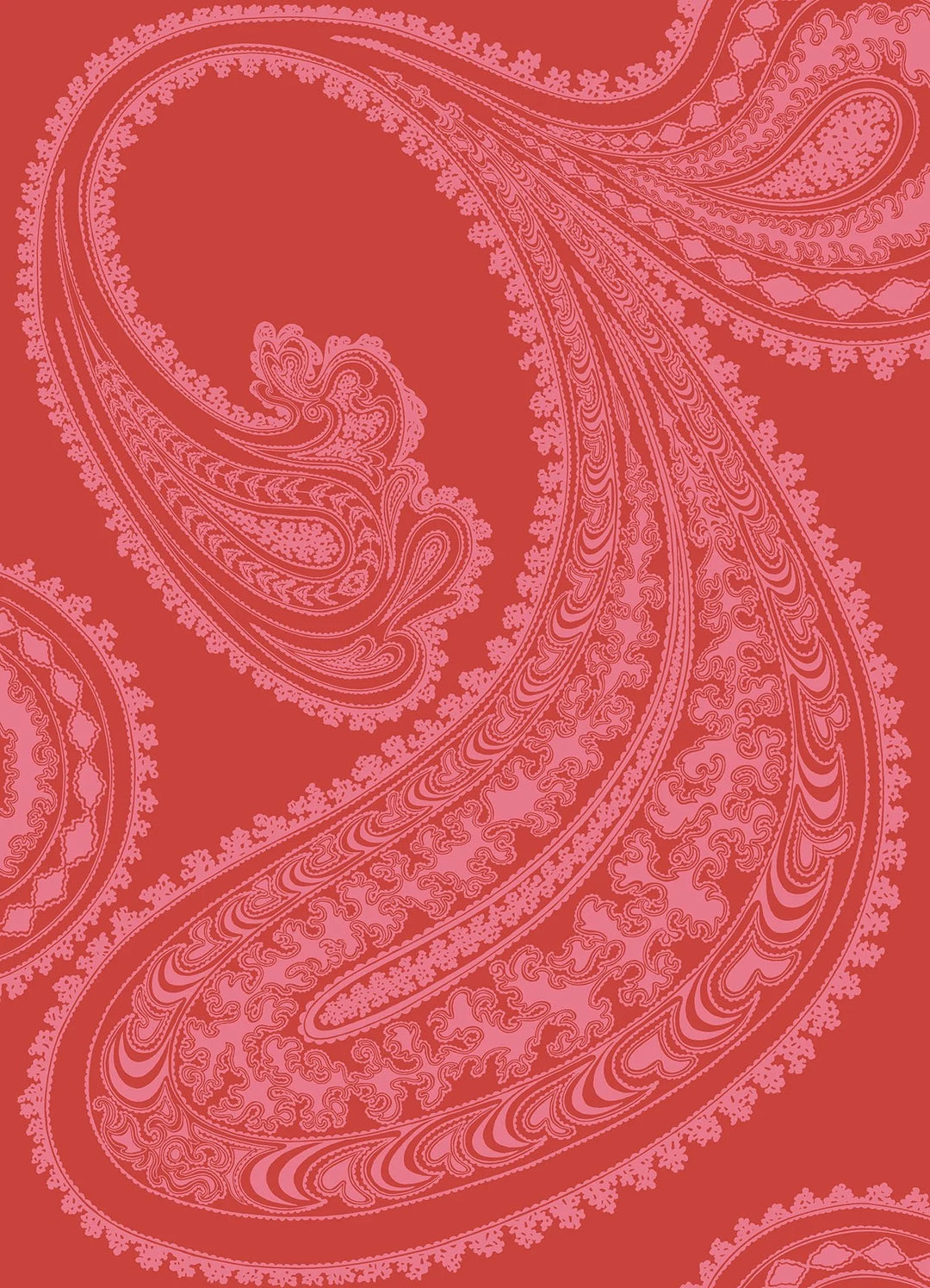 Rajapur Wallpaper by Cole & Son - 66/5041 | Modern 2 Interiors