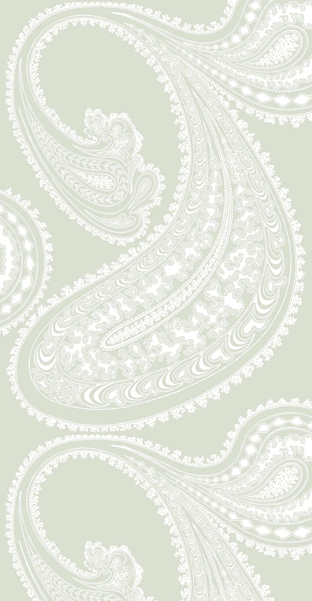 Rajapur Wallpaper by Cole & Son - 95/2063 | Modern 2 Interiors