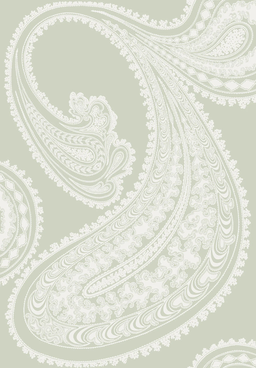 Rajapur Wallpaper by Cole & Son - 66/5036 | Modern 2 Interiors