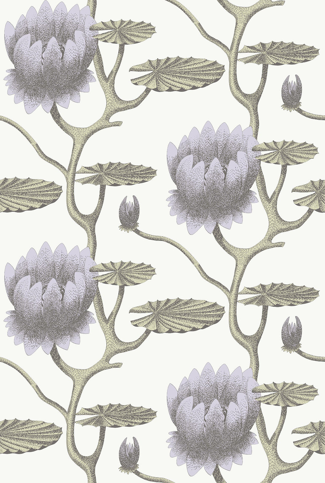 Summer Lily Wallpaper by Cole & Son - 95/4023 | Modern 2 Interiors
