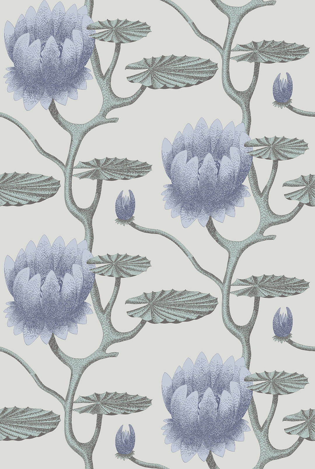 Summer Lily Wallpaper by Cole & Son - 95/4024 | Modern 2 Interiors