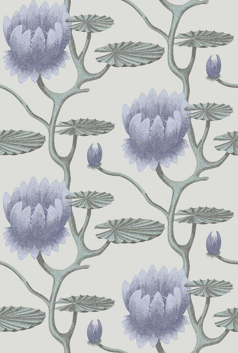 Summer Lily Wallpaper by Cole & Son - 95/4024 | Modern 2 Interiors