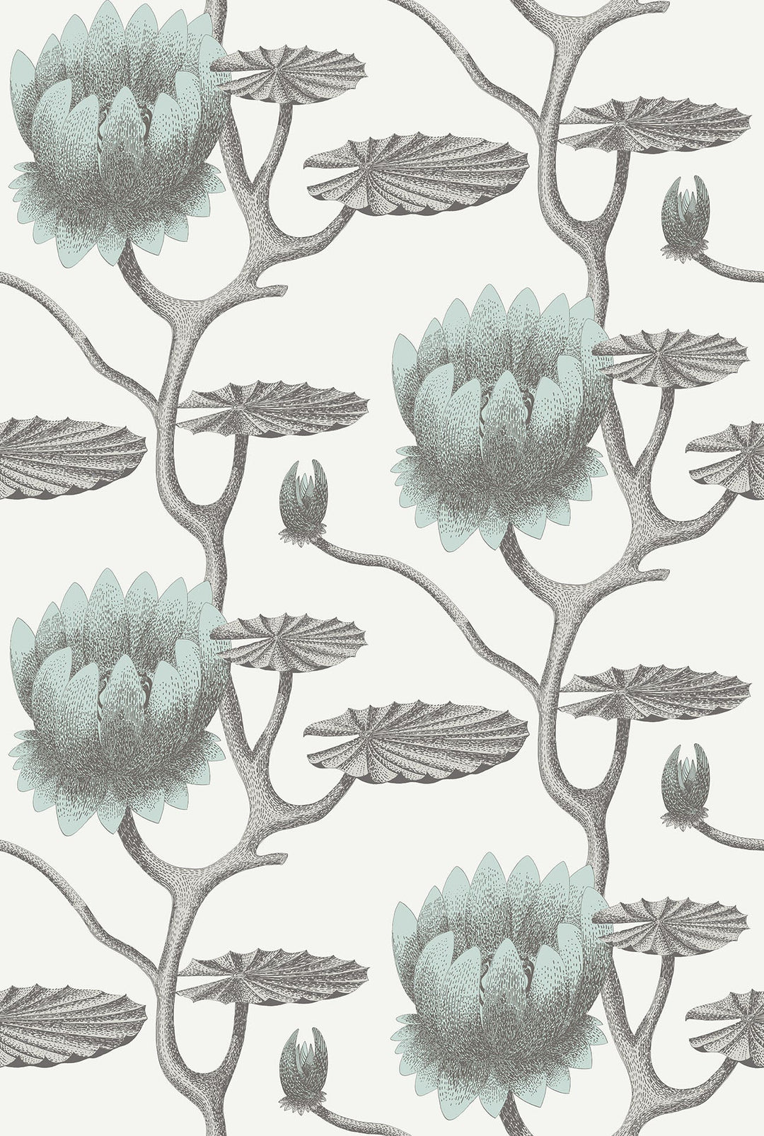 Summer Lily Wallpaper by Cole & Son - 95/4022 | Modern 2 Interiors