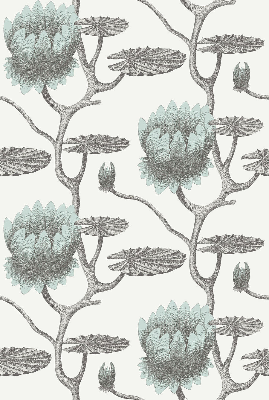 Summer Lily Wallpaper by Cole & Son - 95/4022 | Modern 2 Interiors