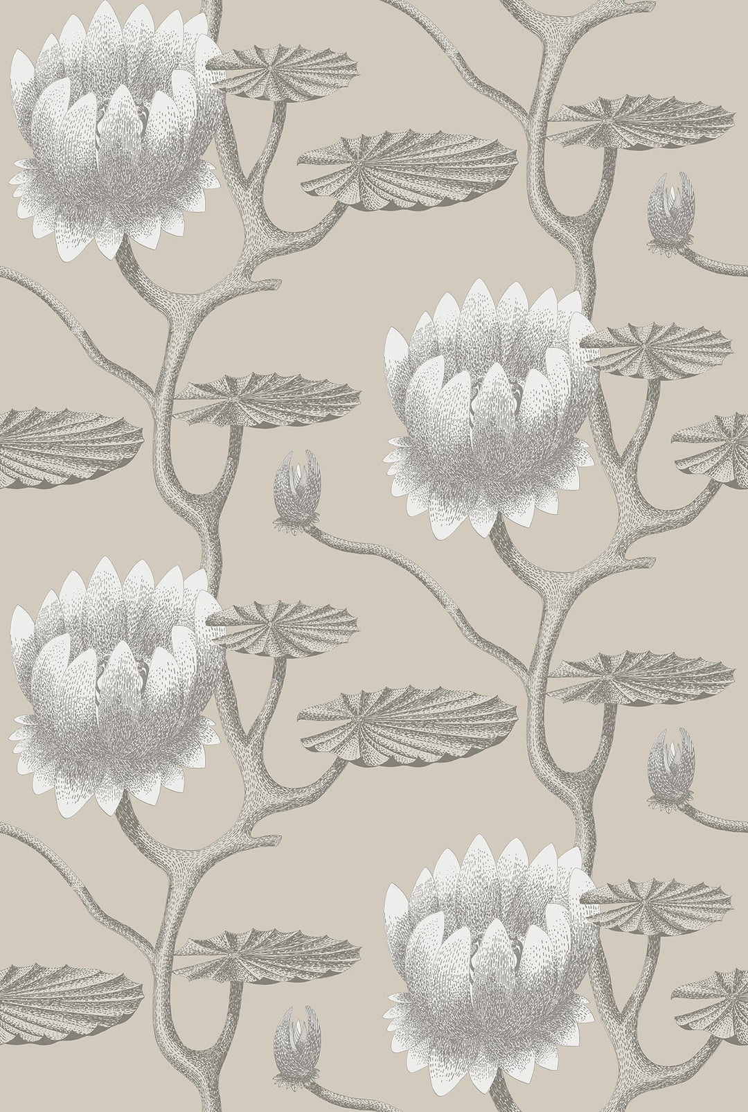 Summer Lily Wallpaper by Cole & Son - 95/4025 | Modern 2 Interiors