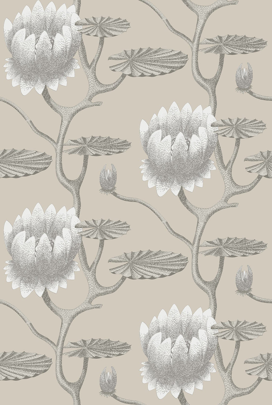 Summer Lily Wallpaper by Cole & Son - 95/4025 | Modern 2 Interiors