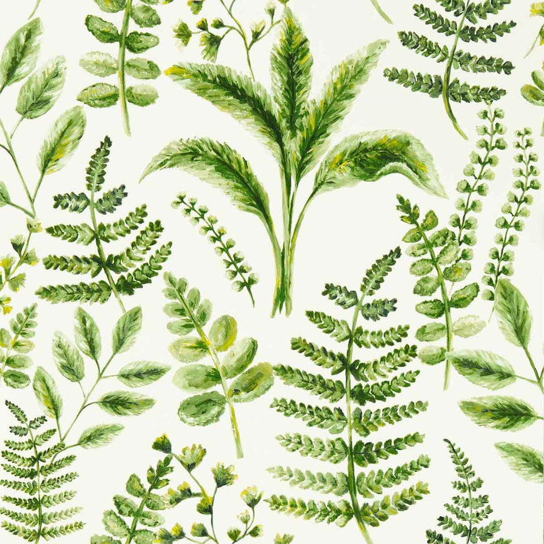 Bracken Forest Wallpaper