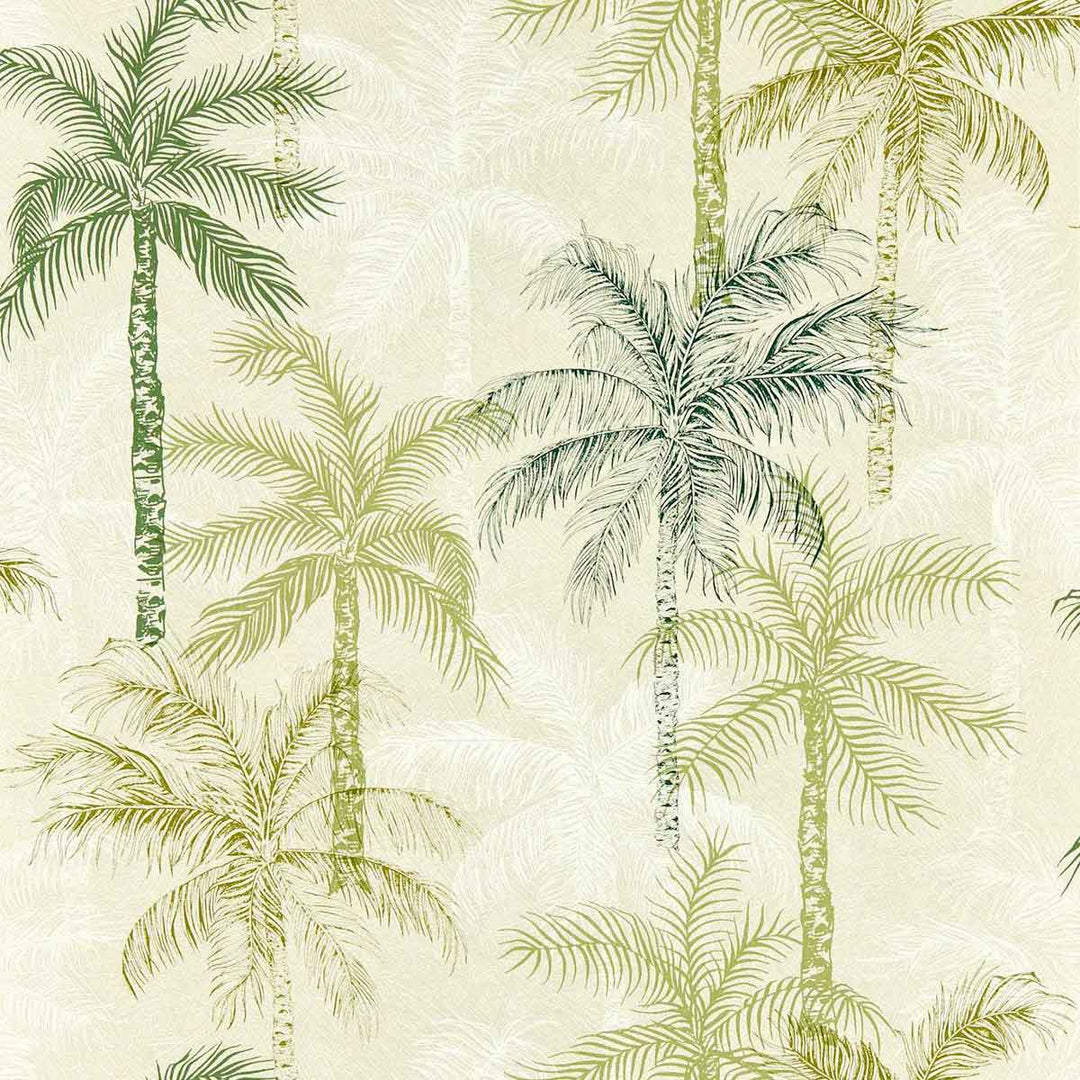 Palmyra Palm Wallpaper