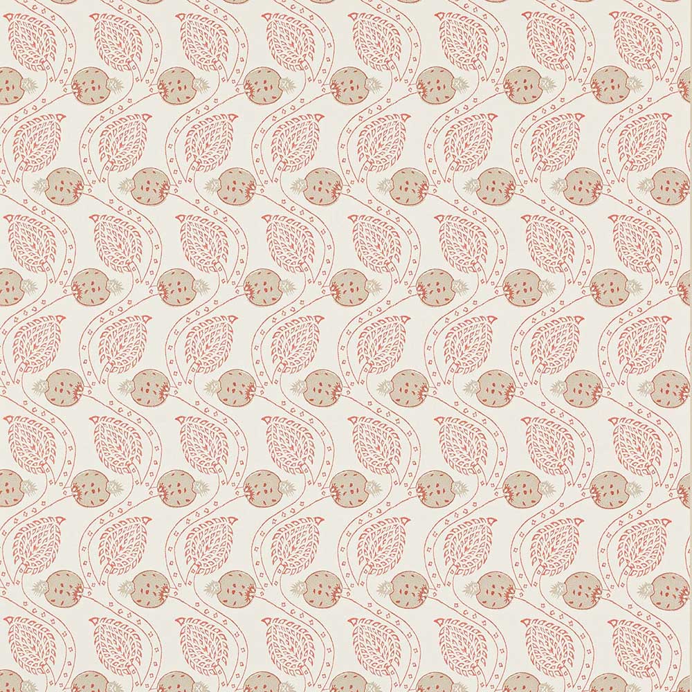 Ashmead Tomato Wallpaper