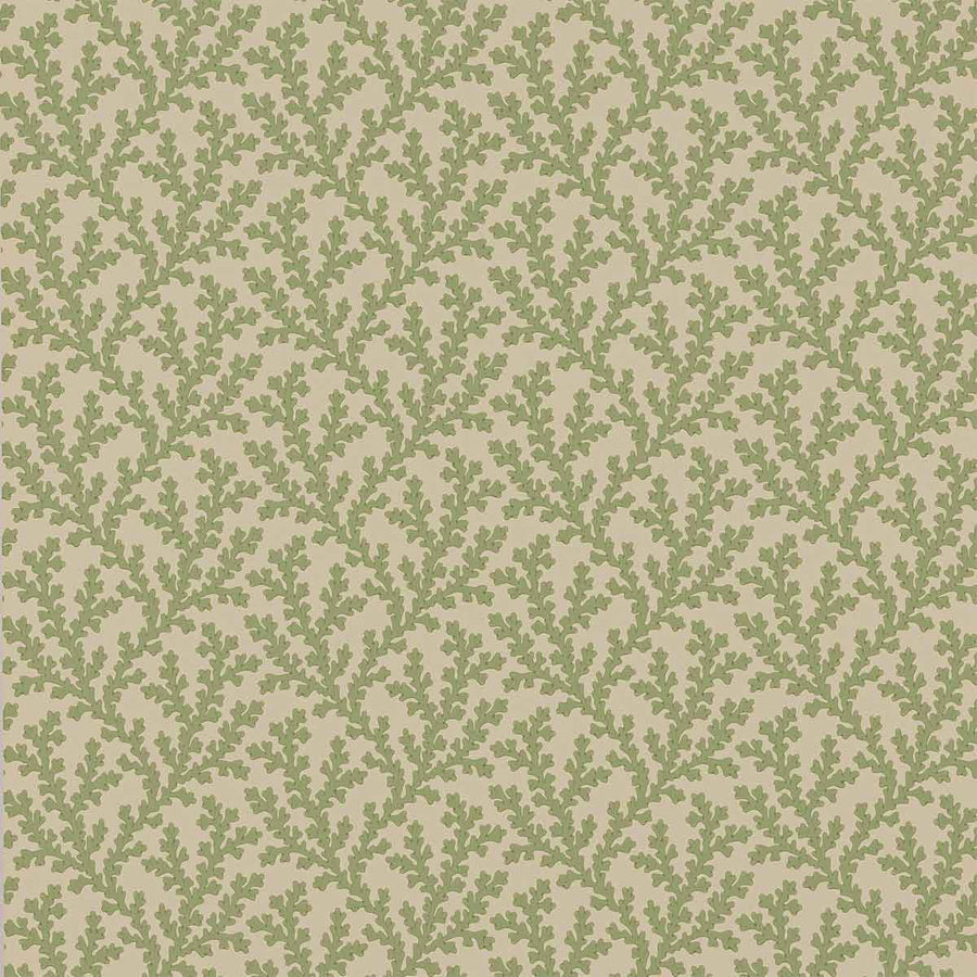 Colefax & Fowler Sea Coral Wallpaper | Green | W7020-01