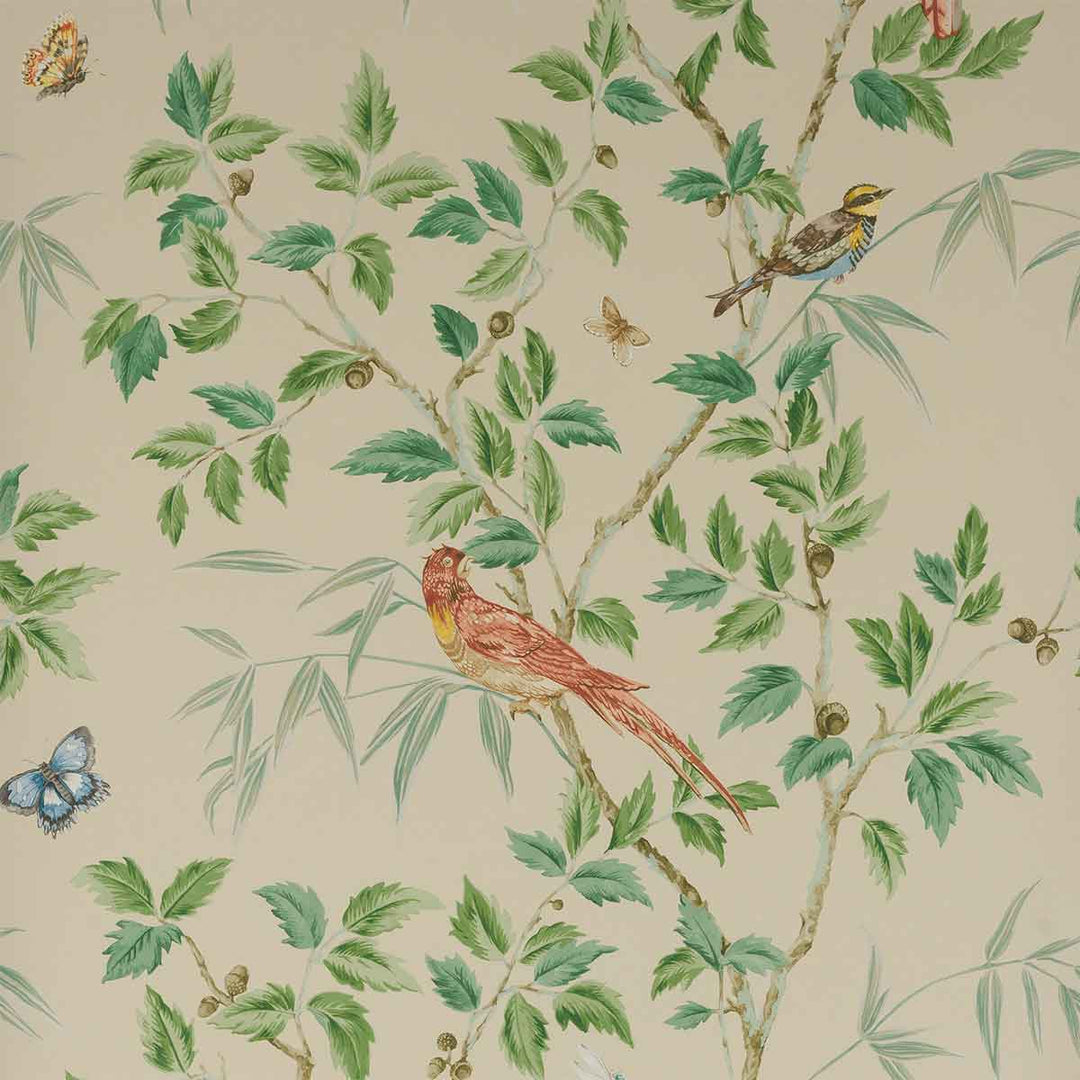 Colefax & Fowler Ashdown Wallpaper | Cream | W7021-04