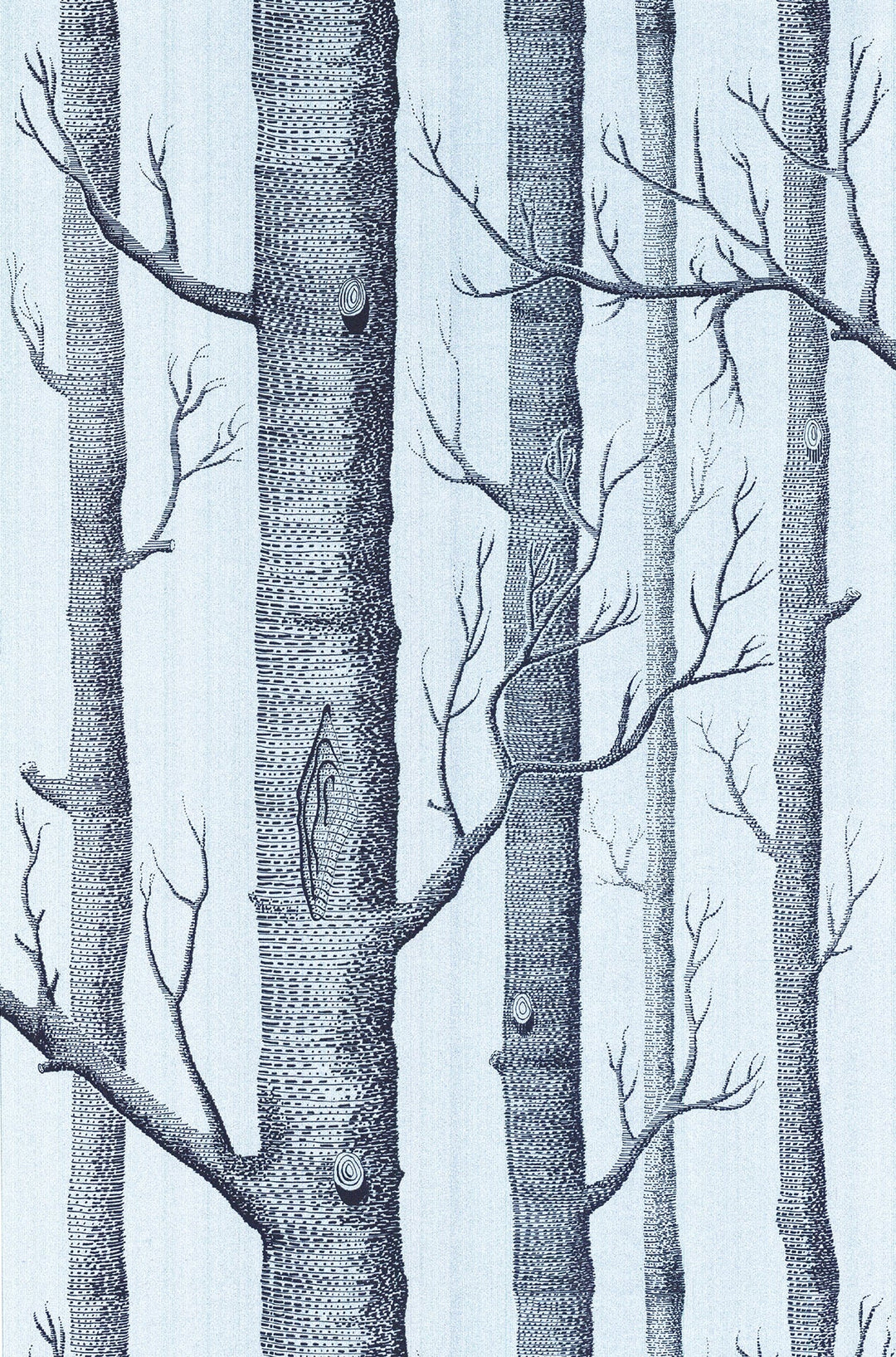 Woods Wallpaper by Cole & Son - 69/12150 | Modern 2 Interiors