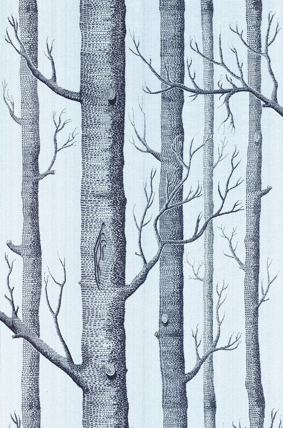 Woods Wallpaper by Cole & Son - 69/12150 | Modern 2 Interiors