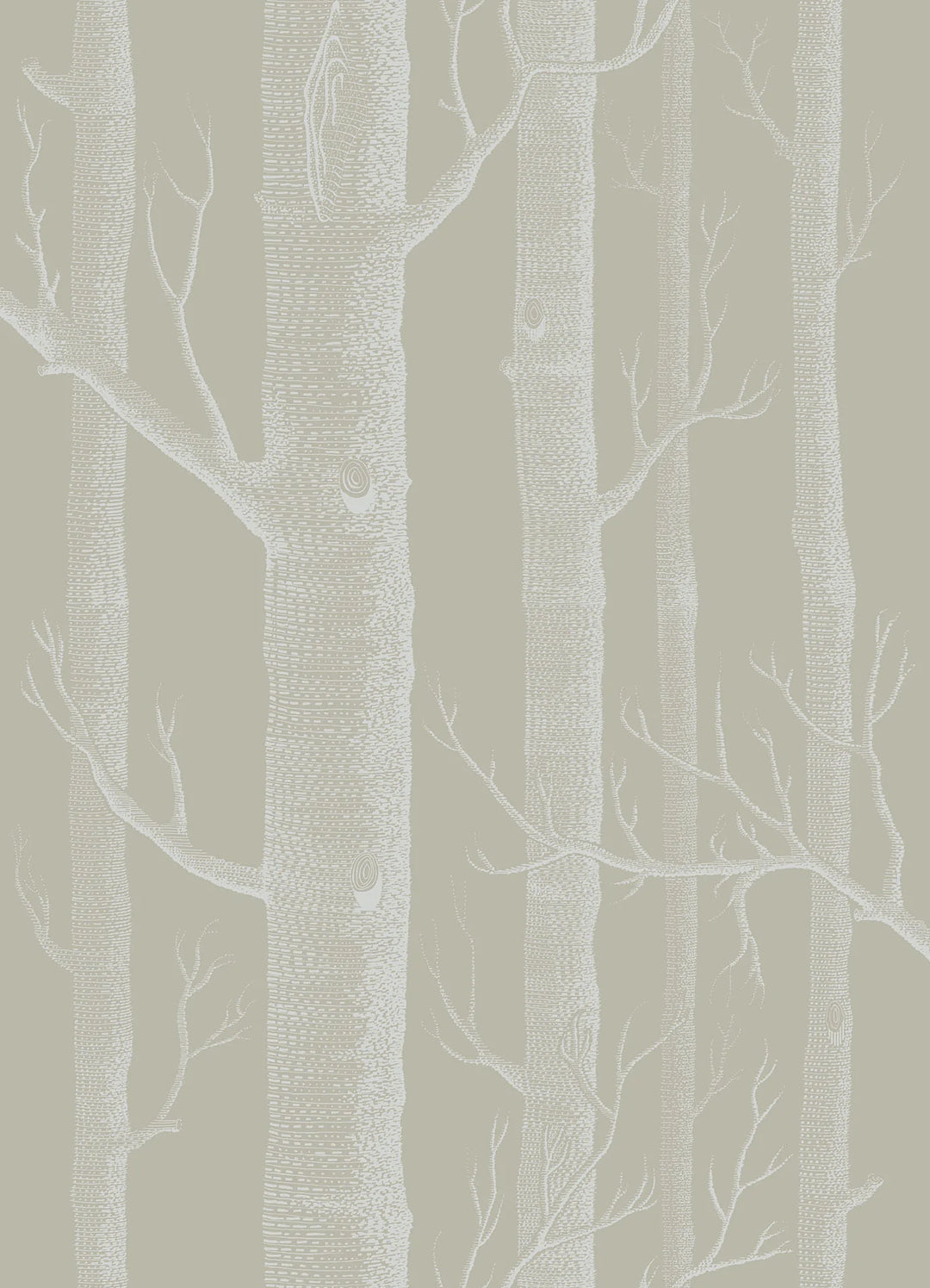 Woods Wallpaper by Cole & Son - 69/12149 | Modern 2 Interiors