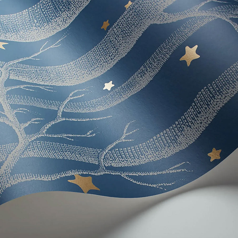 Woods & Stars Midnight Wallpaper