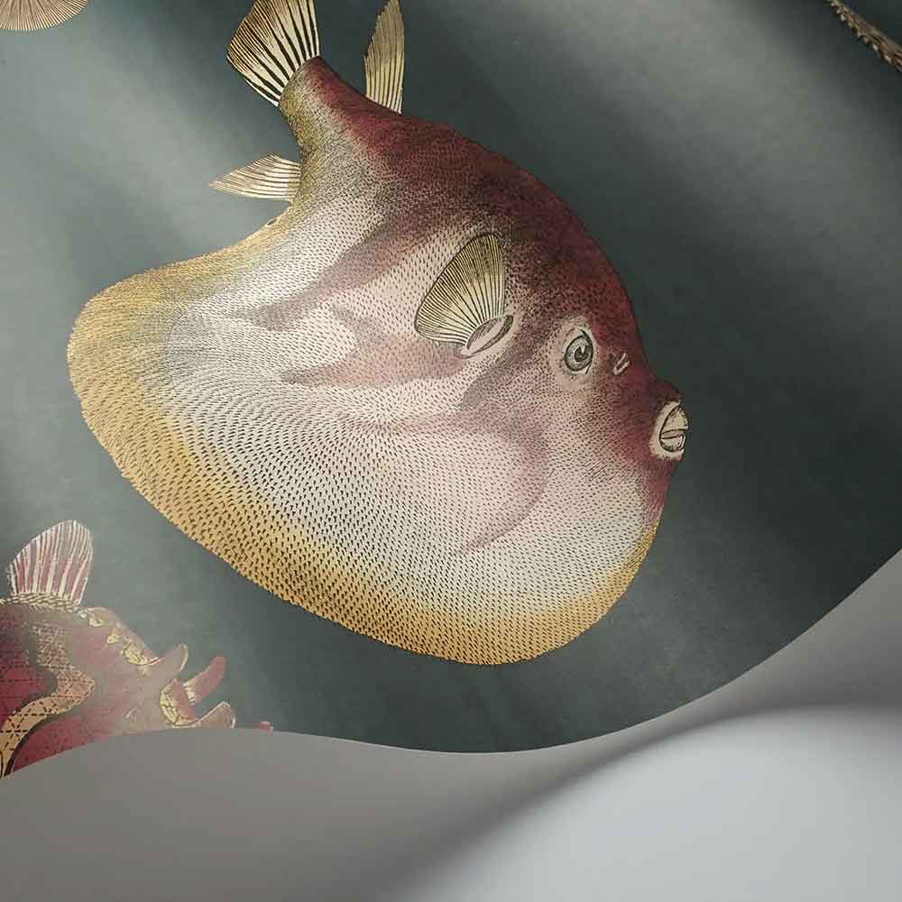 Cole & Son Acquario Wallpaper | 114/2024 | displays an unrolled wallpaper highlighting the marine life pattern with a striking viridian background