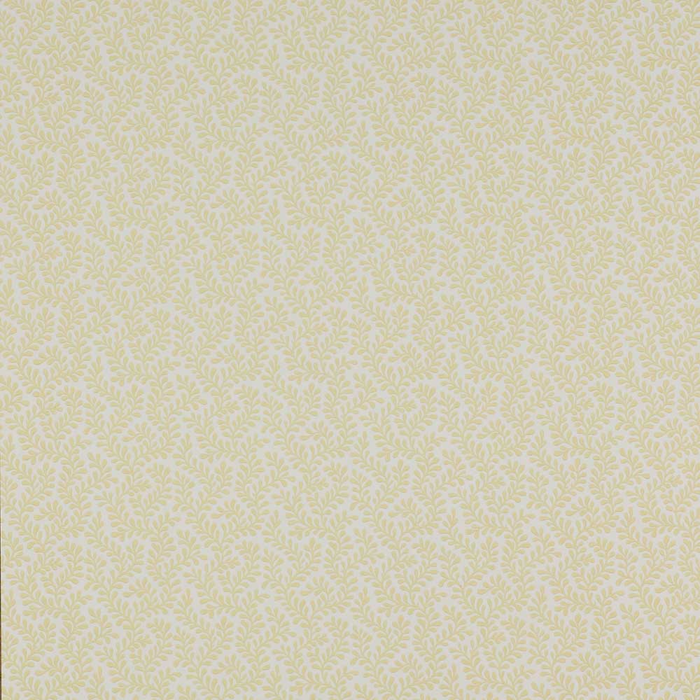 Colefax & Fowler Rushmere Wallpaper | Yellow | 7985/01