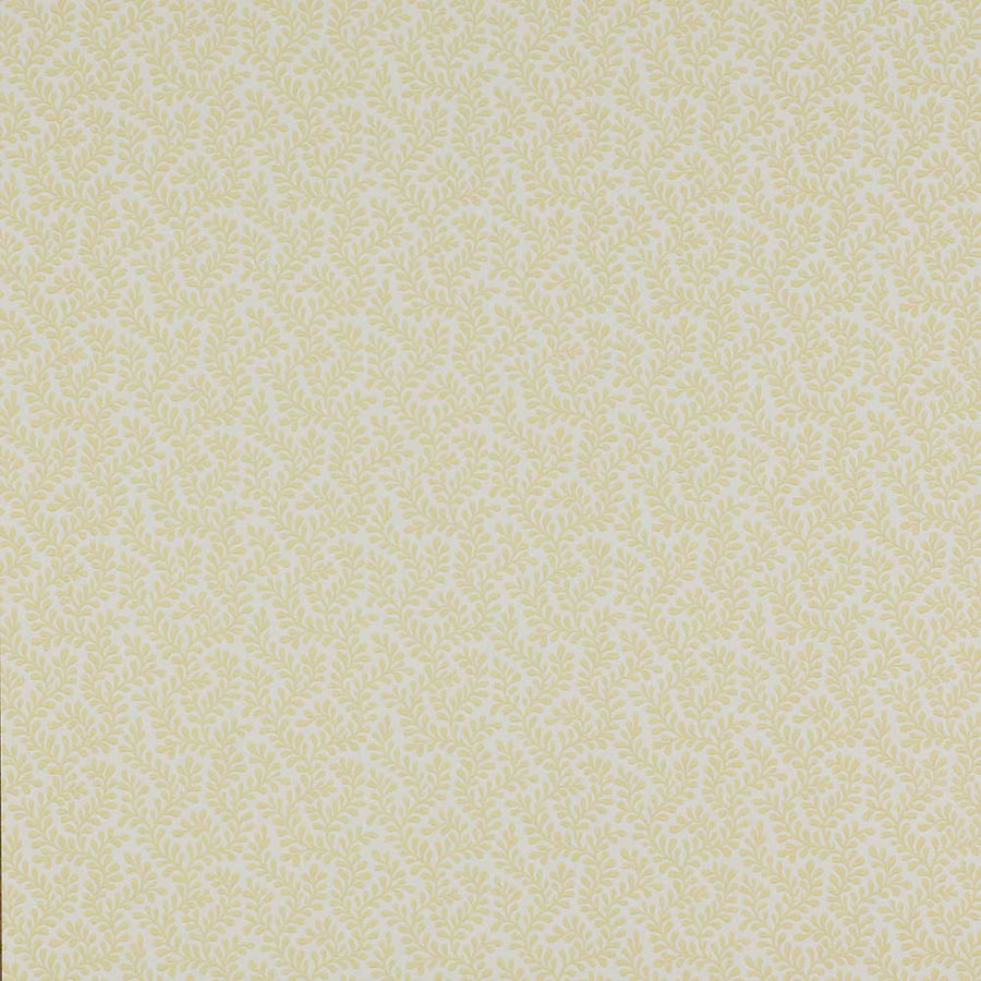 Colefax & Fowler Rushmere Wallpaper | Yellow | 7985/01