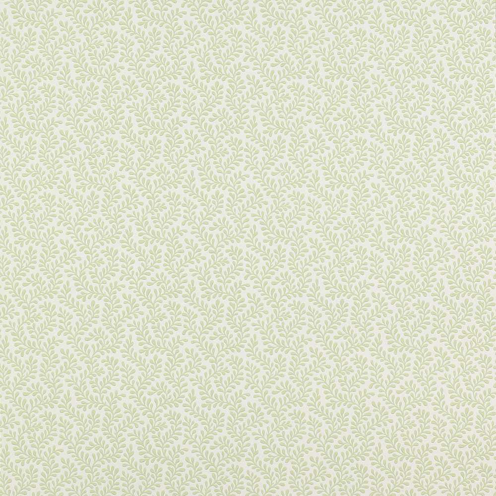 Colefax & Fowler Rushmere Wallpaper | Leaf | 7985/04