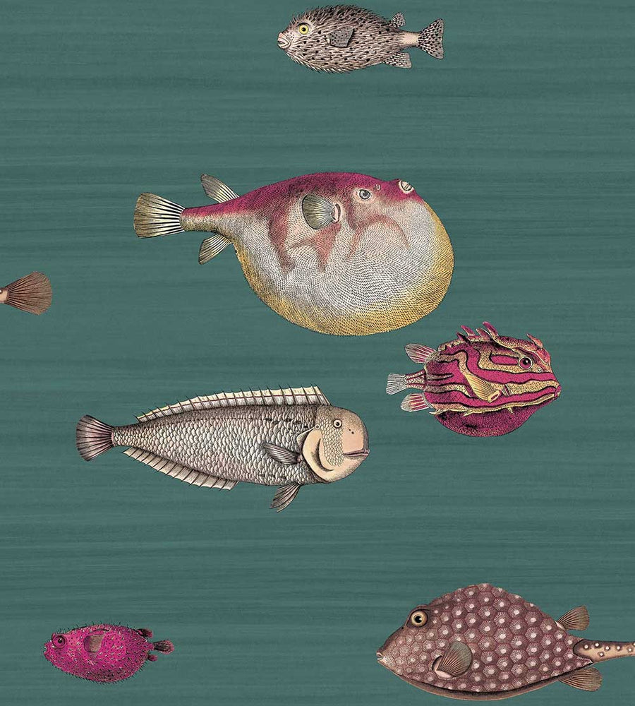 Cole & Son Acquario Wallpaper | Dark Viridian | 114/2024 | Acquario is a feature wallpaper featuring a marine life designed print