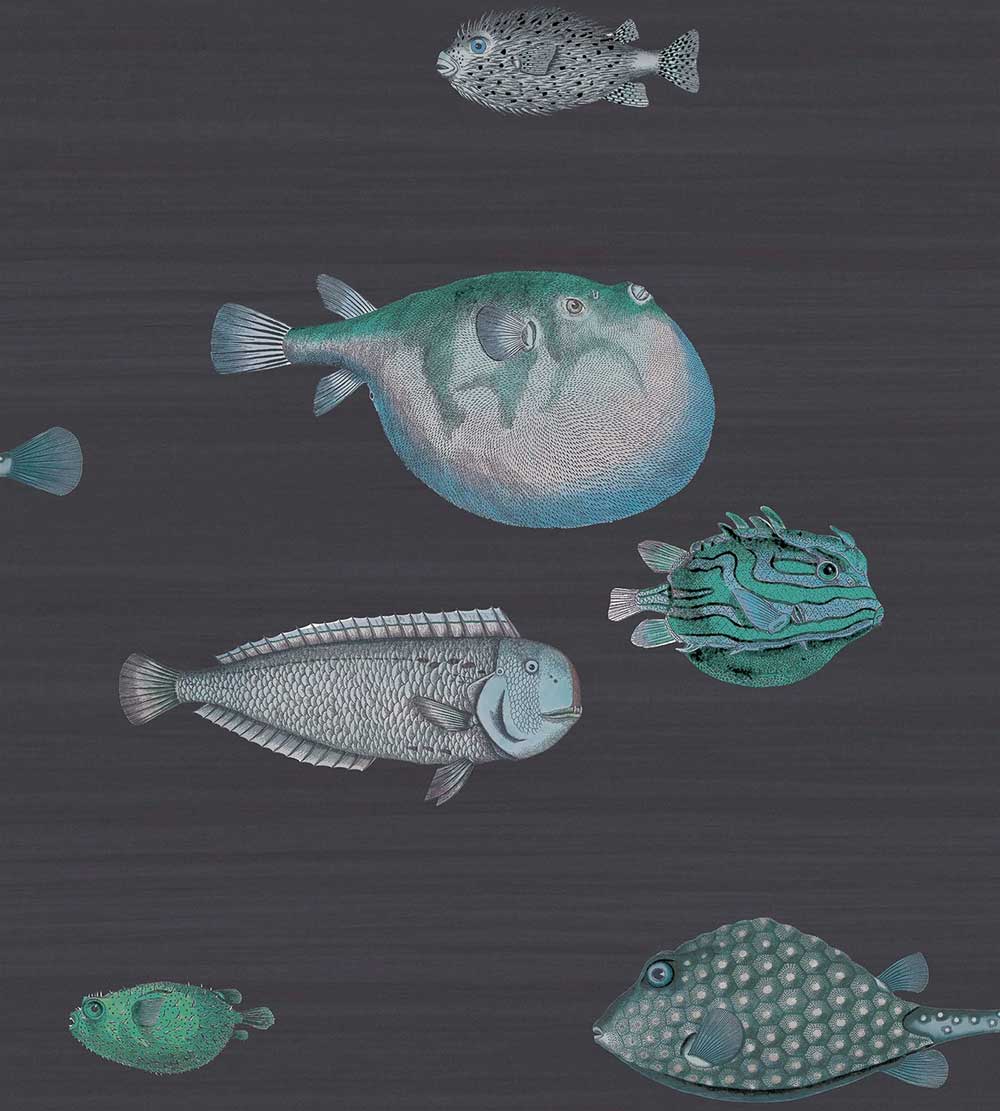 Cole & Son Acquario Wallpaper | Ink | 114/16032 | Acquario is a feature wallpaper featuring a marine life designed print