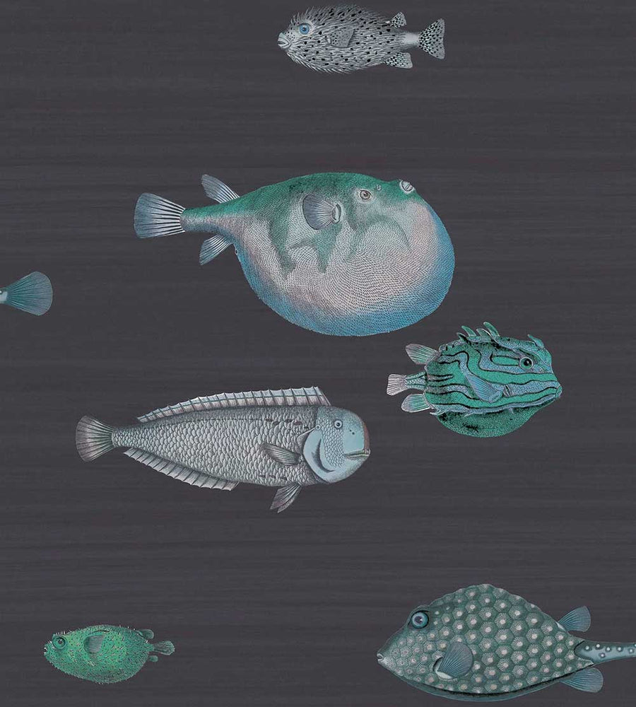 Cole & Son Acquario Wallpaper | Ink | 114/16032 | Acquario is a feature wallpaper featuring a marine life designed print