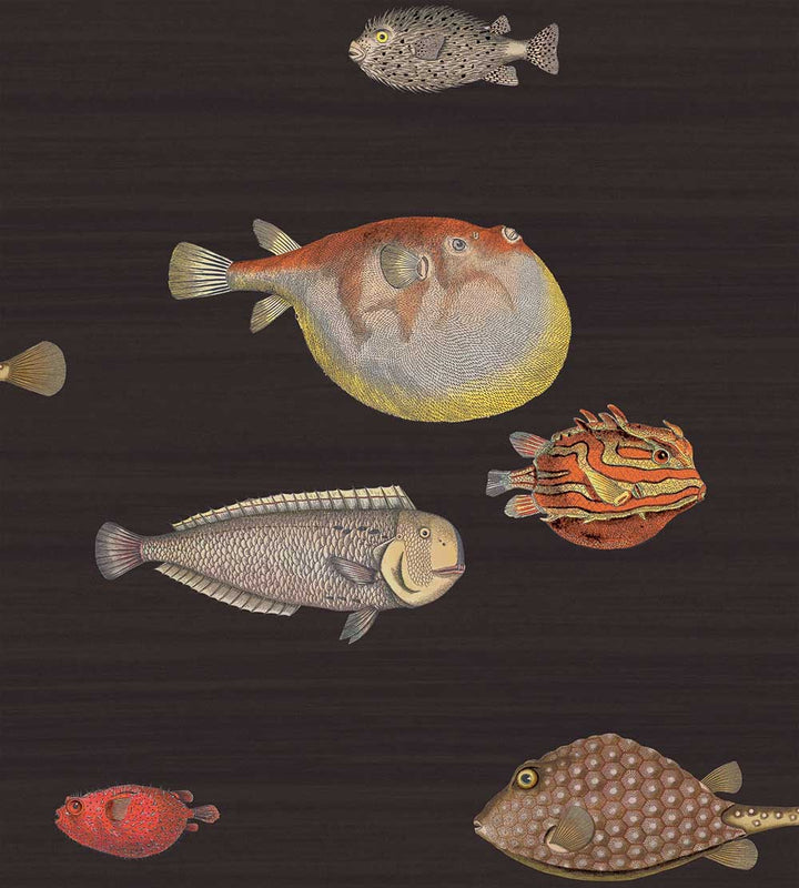 Cole & Son Acquario Wallpaper | Charcoal | 97/10048 | Acquario is a feature wallpaper featuring a marine life designed print