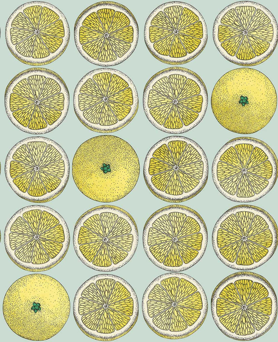 Arance Wallpaper by Cole & Son - 114/24048 | Modern 2 Interiors